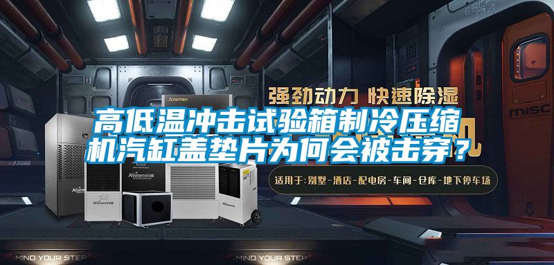 高低溫沖擊試驗箱制冷壓縮機汽缸蓋墊片為何會被擊穿？