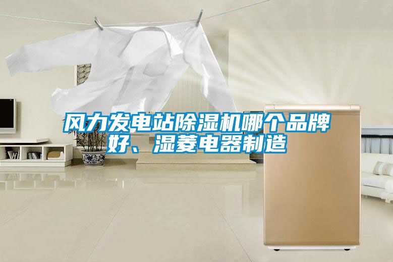 風(fēng)力發(fā)電站除濕機哪個品牌好、濕菱電器制造