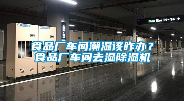 食品廠車間潮濕該咋辦？食品廠車間去濕除濕機(jī)