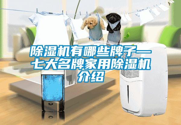 除濕機有哪些牌子—七大名牌家用除濕機介紹